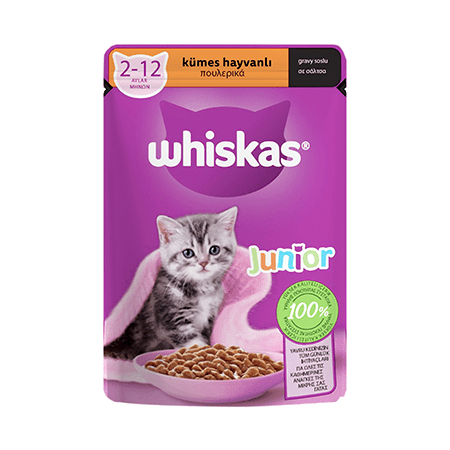 WHİSKAS POUCH JUNIOR 85GR*28